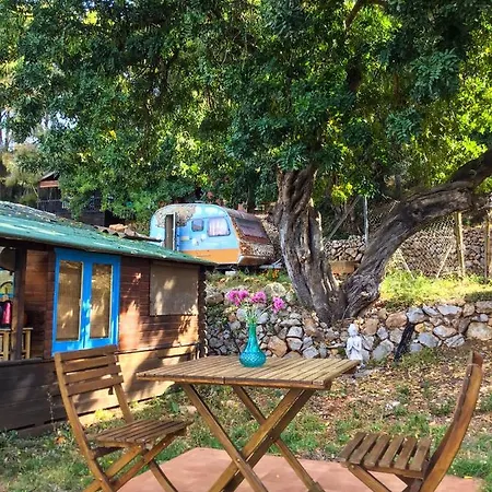 India En Casa Del Paso 샬레 알리칸테